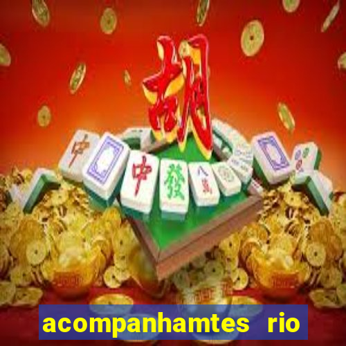 acompanhamtes rio de janeiro